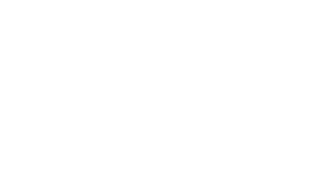 logo footer